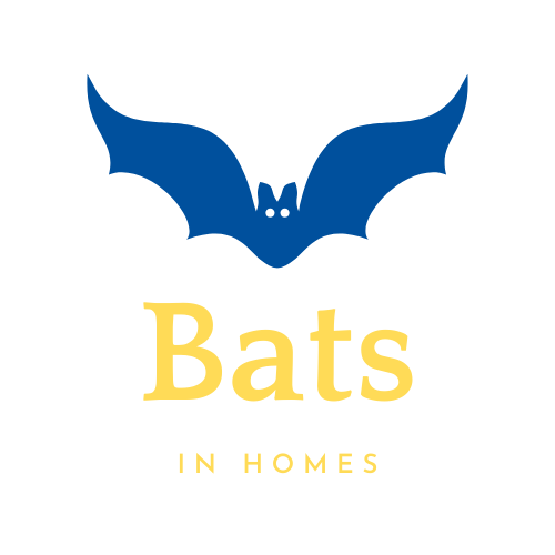 Bats In Homes