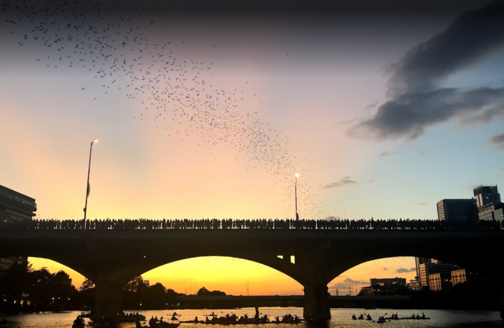 Congress Avenue Bridge Austin TX.PNG